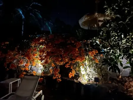 Casa Jardín Tropical – Maison 1 ch, jardin botanique, vue océan : photo 22