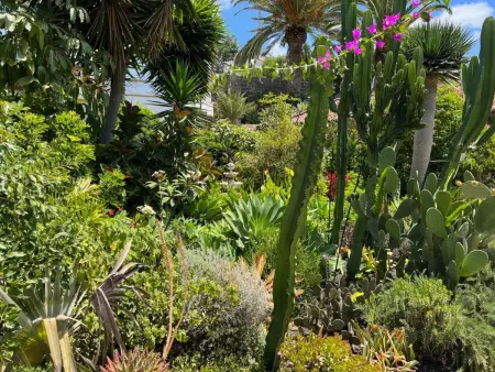 Casa Jardín Tropical – Maison 1 ch, jardin botanique, vue océan : photo 23