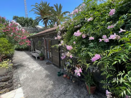 Casa Jardín Tropical – Maison 1 ch, jardin botanique, vue océan : photo 29