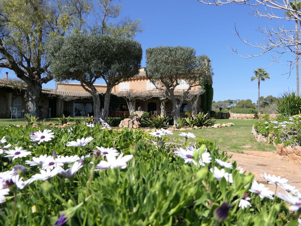 Finca Rustica Felostal – Maison 12 chambres avec piscine - Photo 3