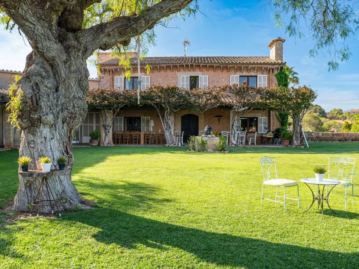 Finca Rustica Felostal – Maison 12 chambres avec piscine - Photo 7