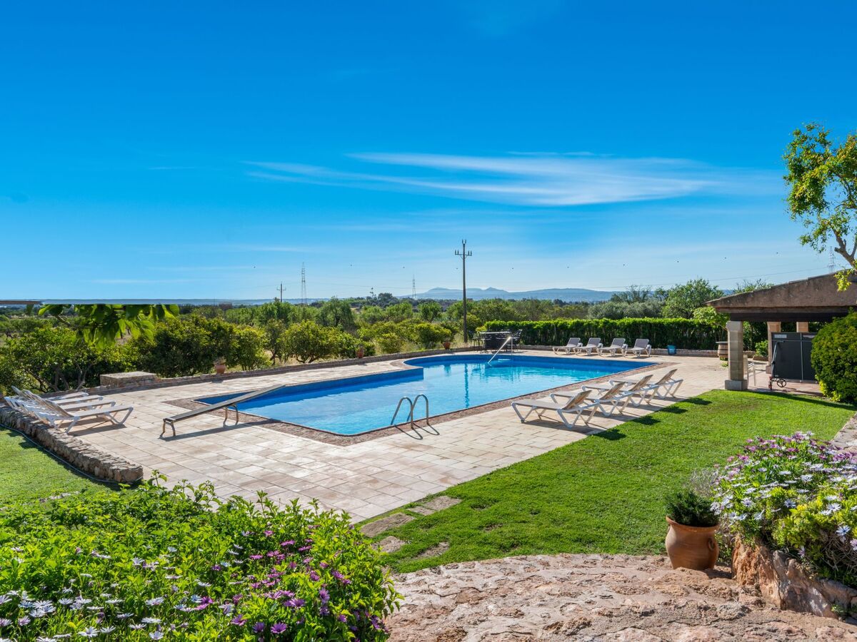 Finca Rustica Felostal – Maison 12 chambres avec piscine - Photo 8