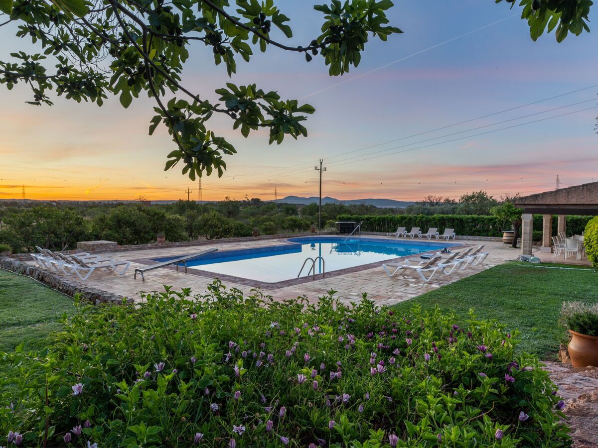 Finca Rustica Felostal – Maison 12 chambres avec piscine - Photo 62