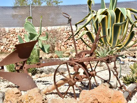 Barralina – Maison 3 pers. à Cala Pi, jardin privé : photo 20