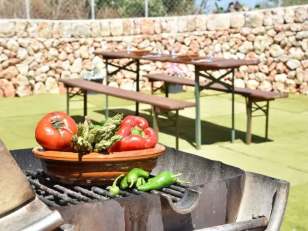Barralina – Maison 3 pers. à Cala Pi, jardin privé : photo 22