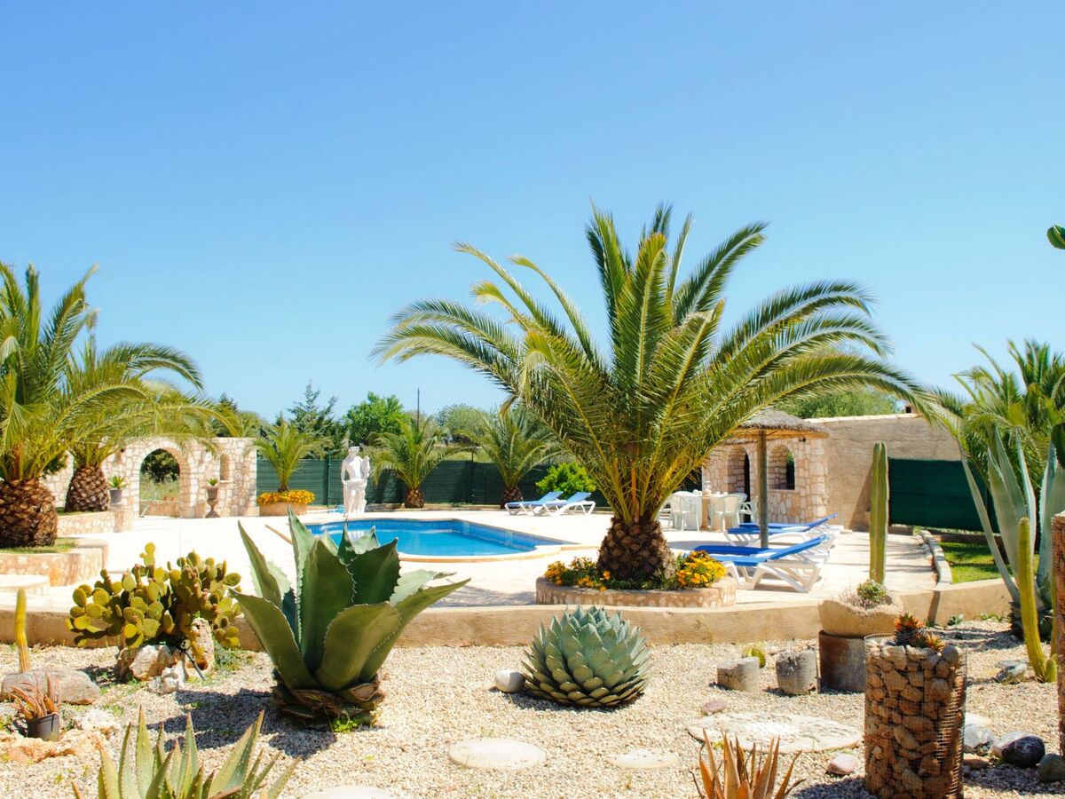 Maison en pierre à Santanyí, piscine et terrain de 9 000 m² - Photo 31