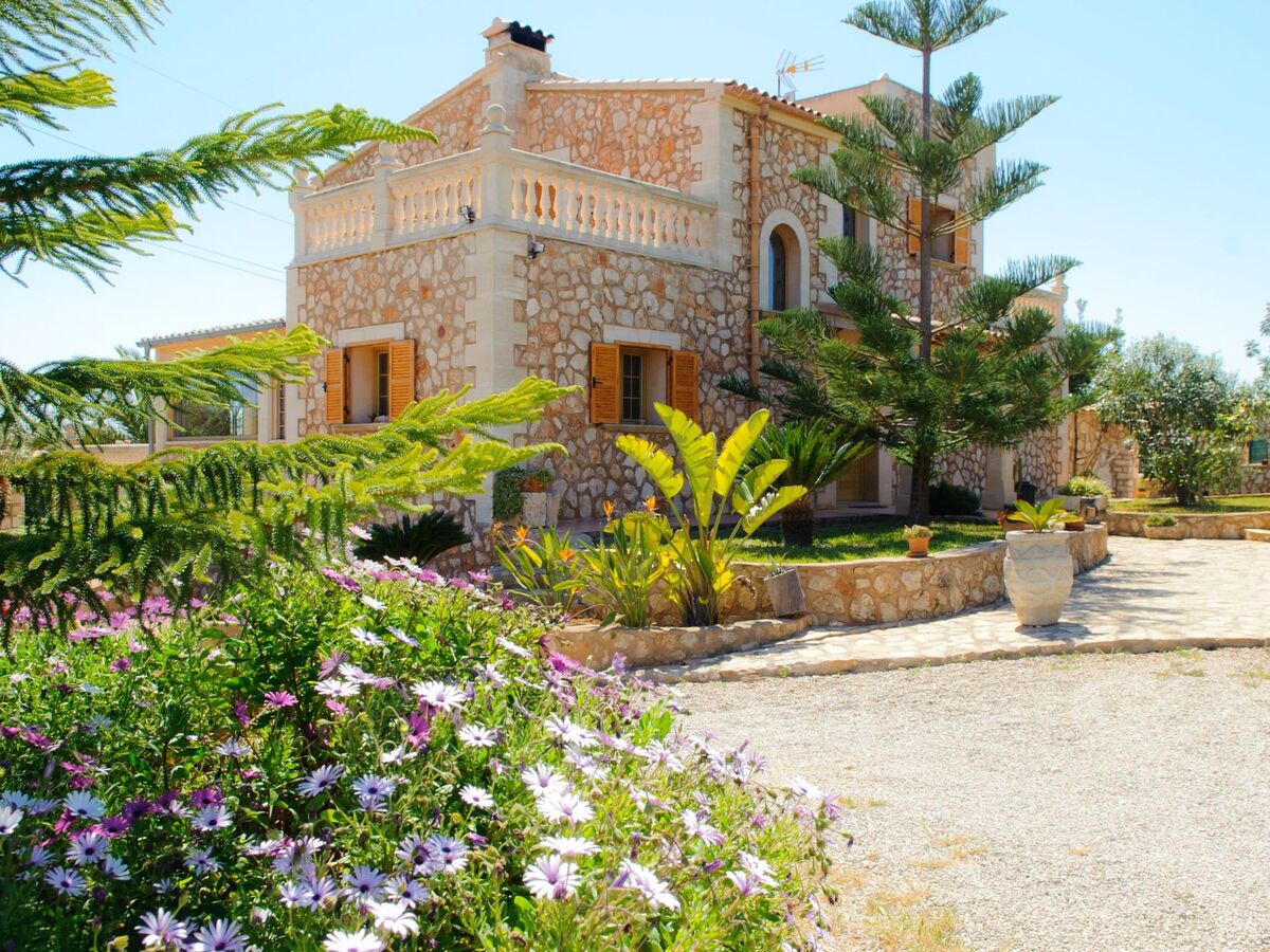Maison en pierre à Santanyí, piscine et terrain de 9 000 m² - Photo 36