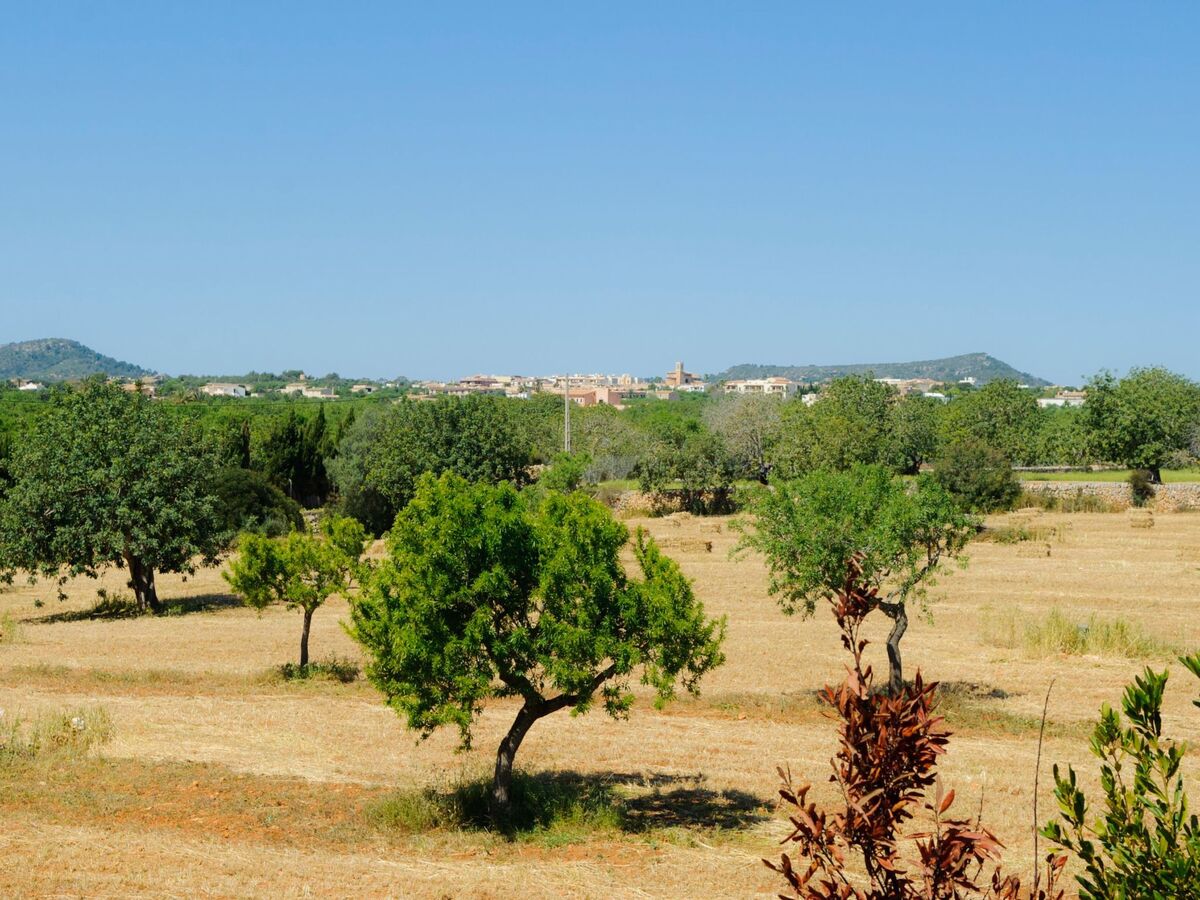 Maison en pierre à Santanyí, piscine et terrain de 9 000 m² - Photo 37