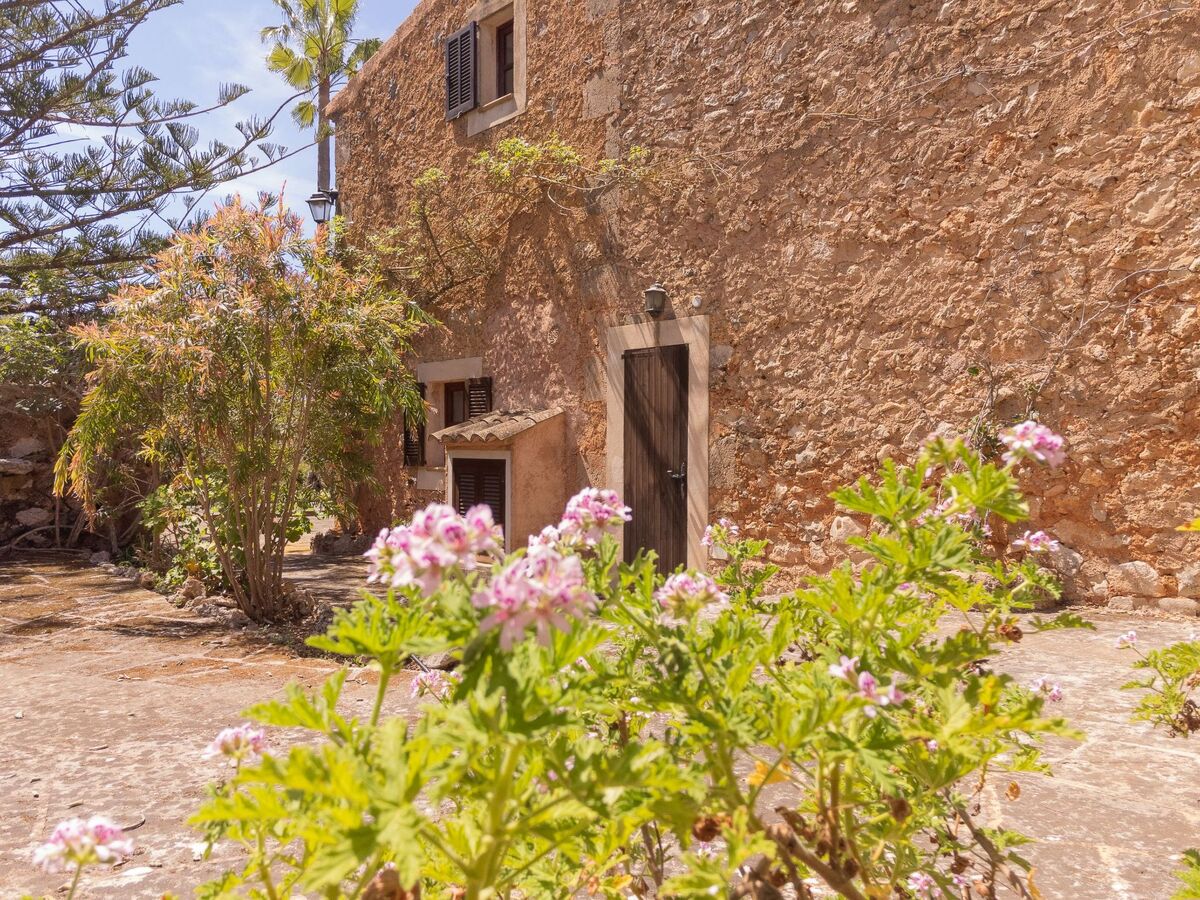 Finca Mal Ric – Maison 8 pers. piscine à Santanyí - Photo 49