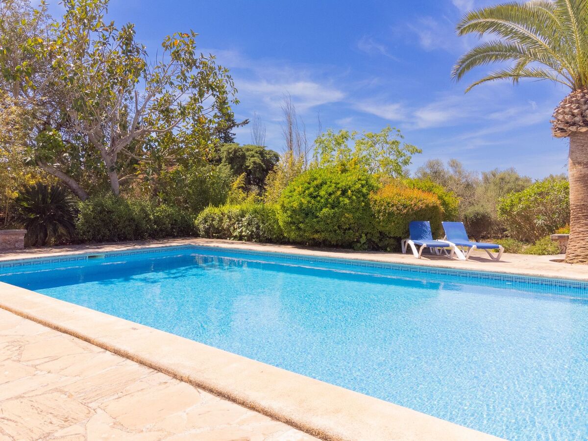 Finca Mal Ric – Maison 8 pers. piscine à Santanyí - Photo 54