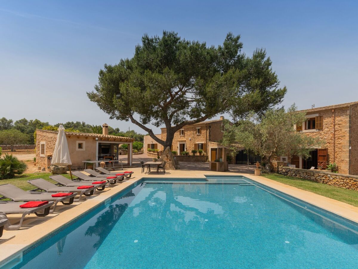 Finca mallorquine avec court de tennis à Santanyí - Photo 2