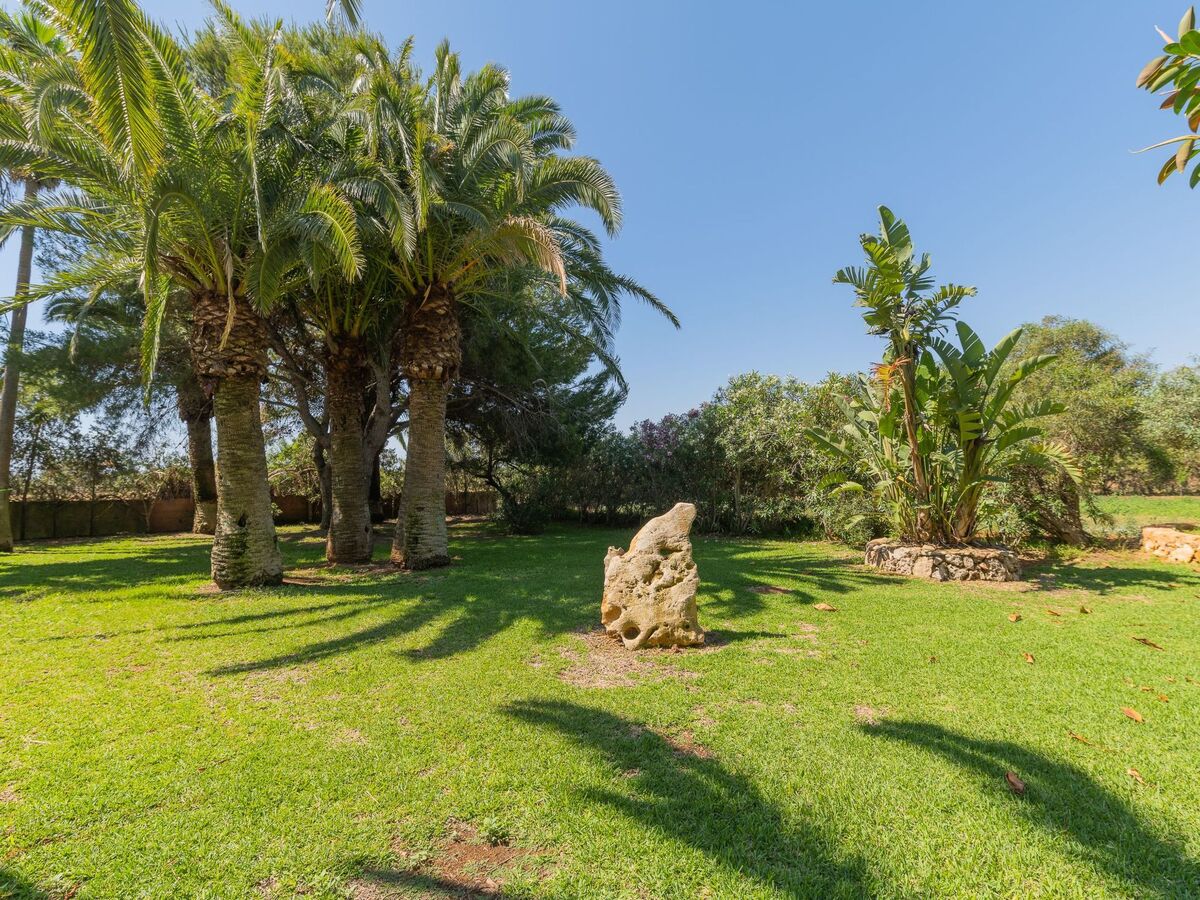 Maison Jardi - 8 pers., piscine et jardin à Santanyí - Photo 23