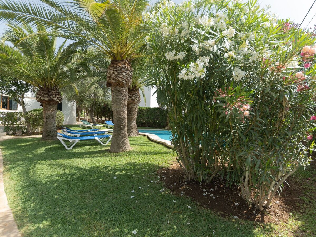 Maison Dora, style ibiza à 150 m de la plage - Photo 4