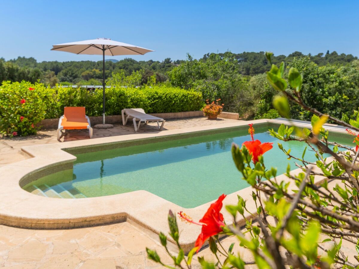 Palleta – Maison 4 chambres avec piscine chauffée solaire - Photo 5