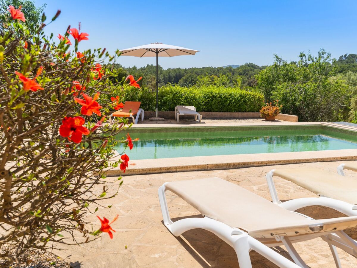 Palleta – Maison 4 chambres avec piscine chauffée solaire - Photo 22