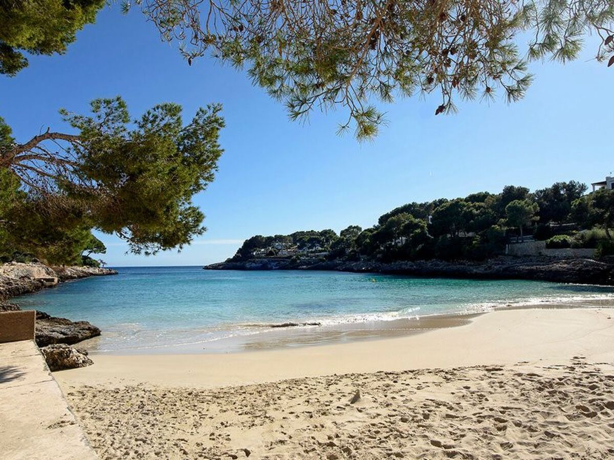 Playa Dor 5 – Appartement 4 pers. à 25 m de la plage - Photo 20