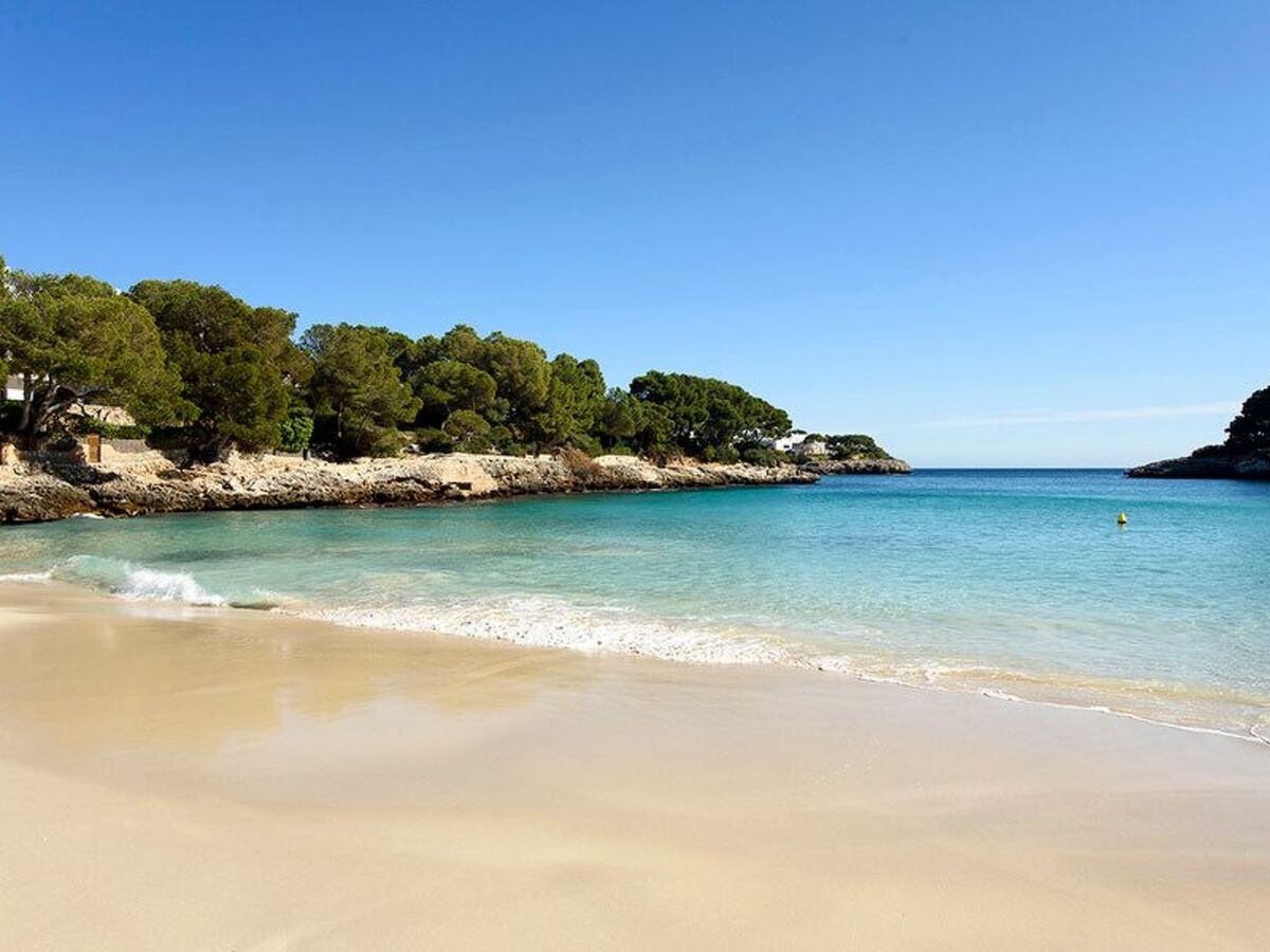 Playa Dor 5 – Appartement 4 pers. à 25 m de la plage - Photo 21