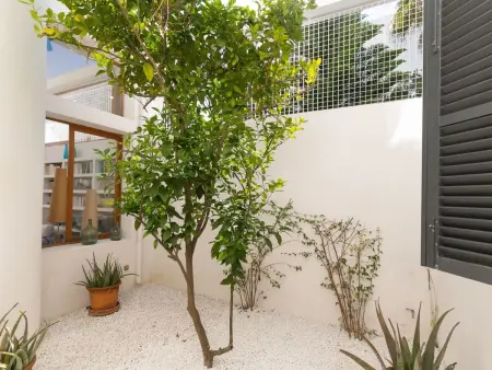 Maison Ocala à Cala d'Or : piscine privée, vue mer : photo 18