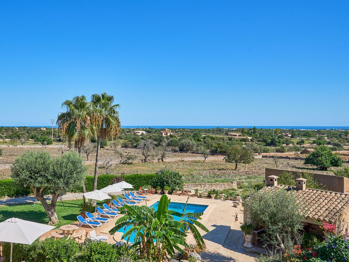 Can Tanca, maison majorquine 8 pers., piscine et vue mer - Photo 24