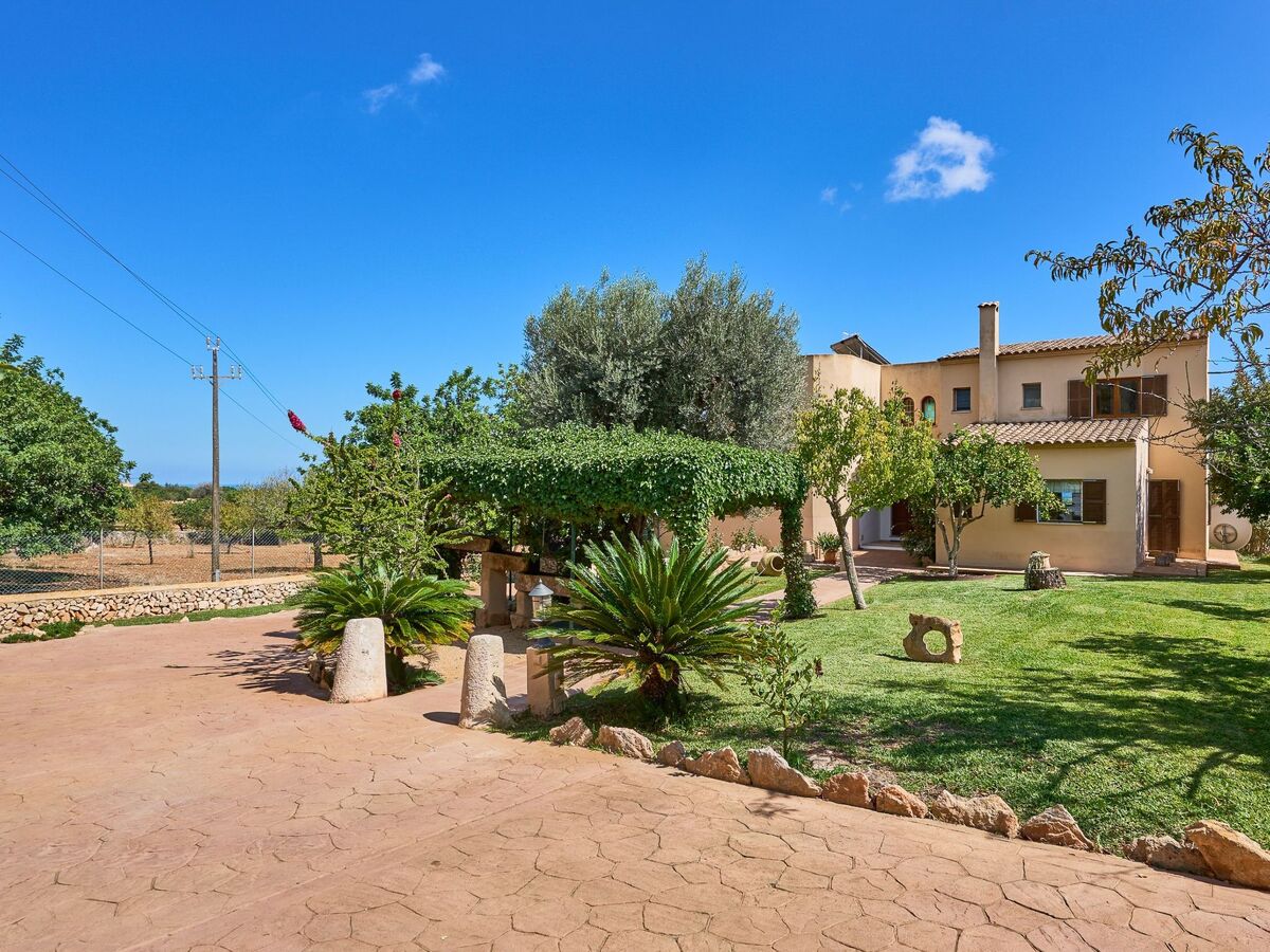 Garrovers S'Horta – Finca 6 pers., piscine et vue mer - Photo 15
