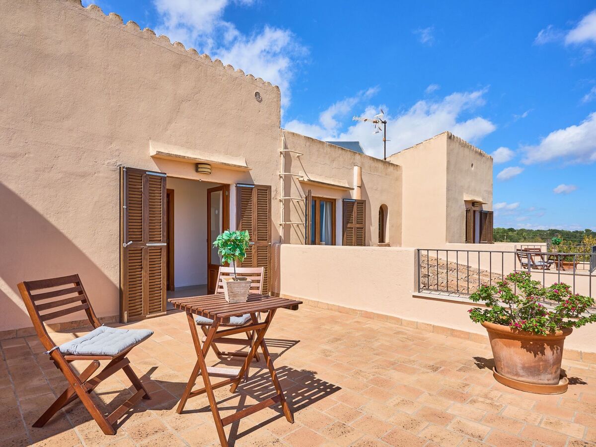 Garrovers S'Horta – Finca 6 pers., piscine et vue mer - Photo 40