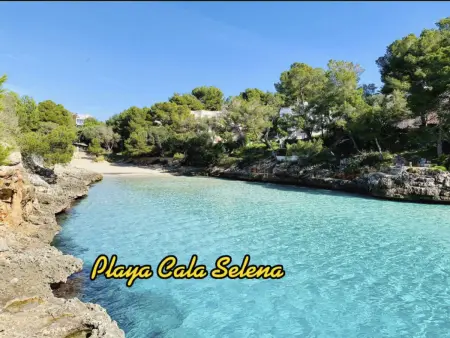 Maison Cala Ferrera : piscine privée et plage à 5 min : photo 41