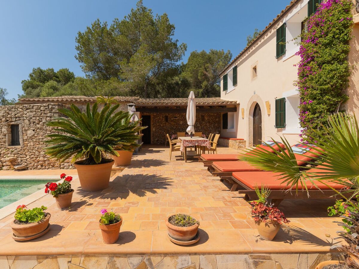 Maison Vallaca : finca mallorquine rénovée, piscine privée - Photo 29