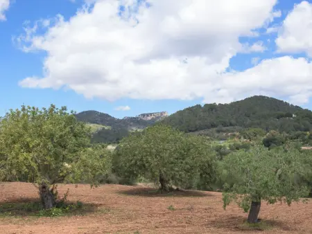 Batlet, Maison 6 personnes à Cala d'Or - Photo 21