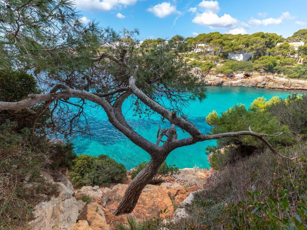 Egos 89 – Villa face mer à Cala d'Or, 5 ch, piscine - Photo 41