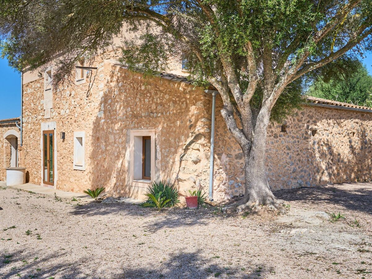 Galeri – Maison rurale rénovée 4 pers., Mallorca - Photo 6