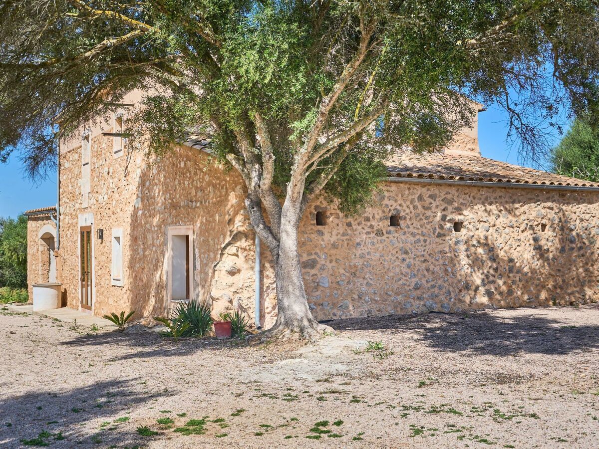 Galeri – Maison rurale rénovée 4 pers., Mallorca - Photo 8