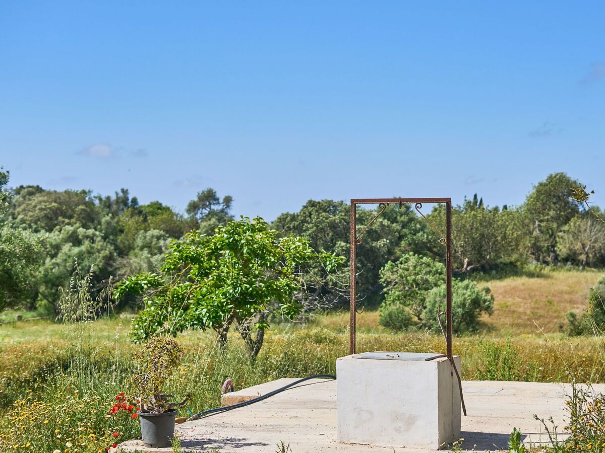 Galeri – Maison rurale rénovée 4 pers., Mallorca - Photo 17