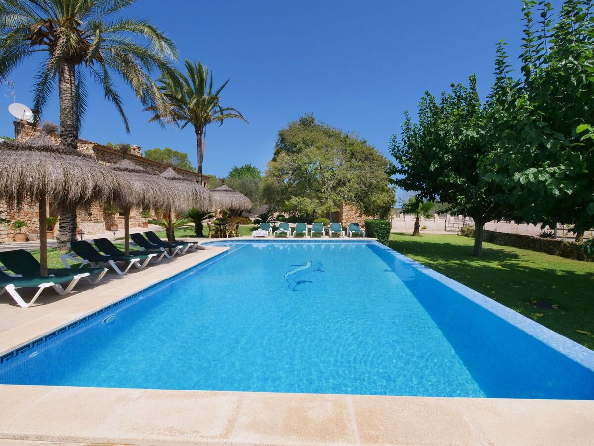 Finca Tort – Maison 12 pers., piscine et chevaux - Photo 2