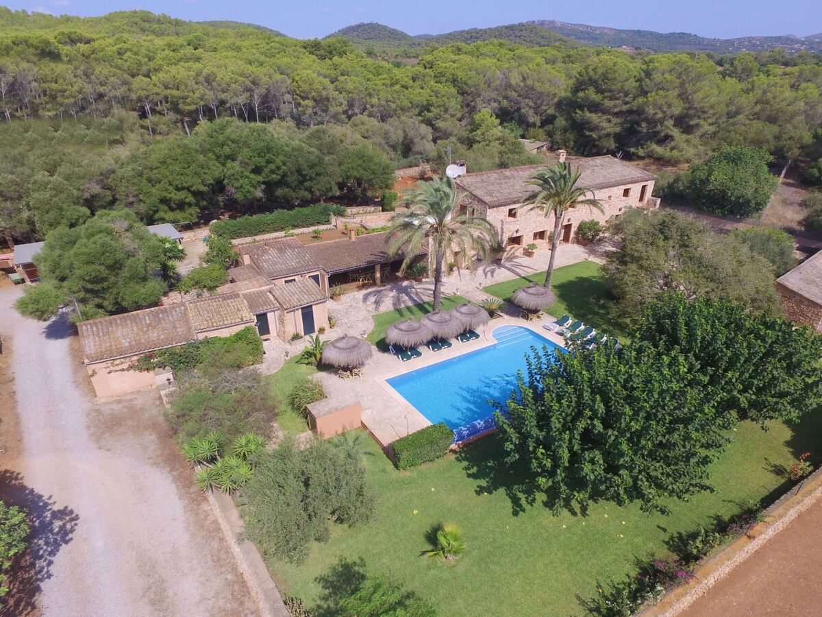 Finca Tort – Maison 12 pers., piscine et chevaux - Photo 13