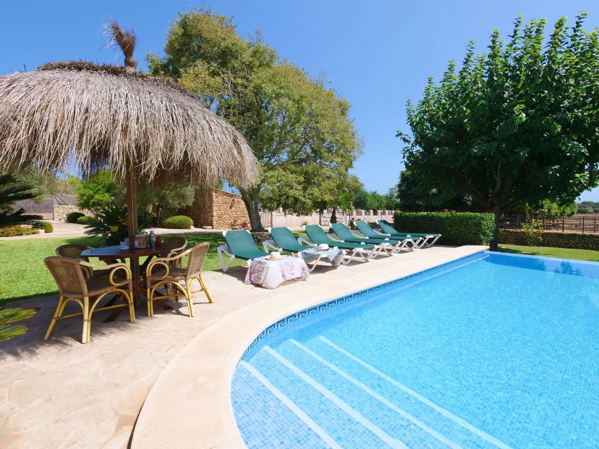 Finca Tort – Maison 12 pers., piscine et chevaux - Photo 15