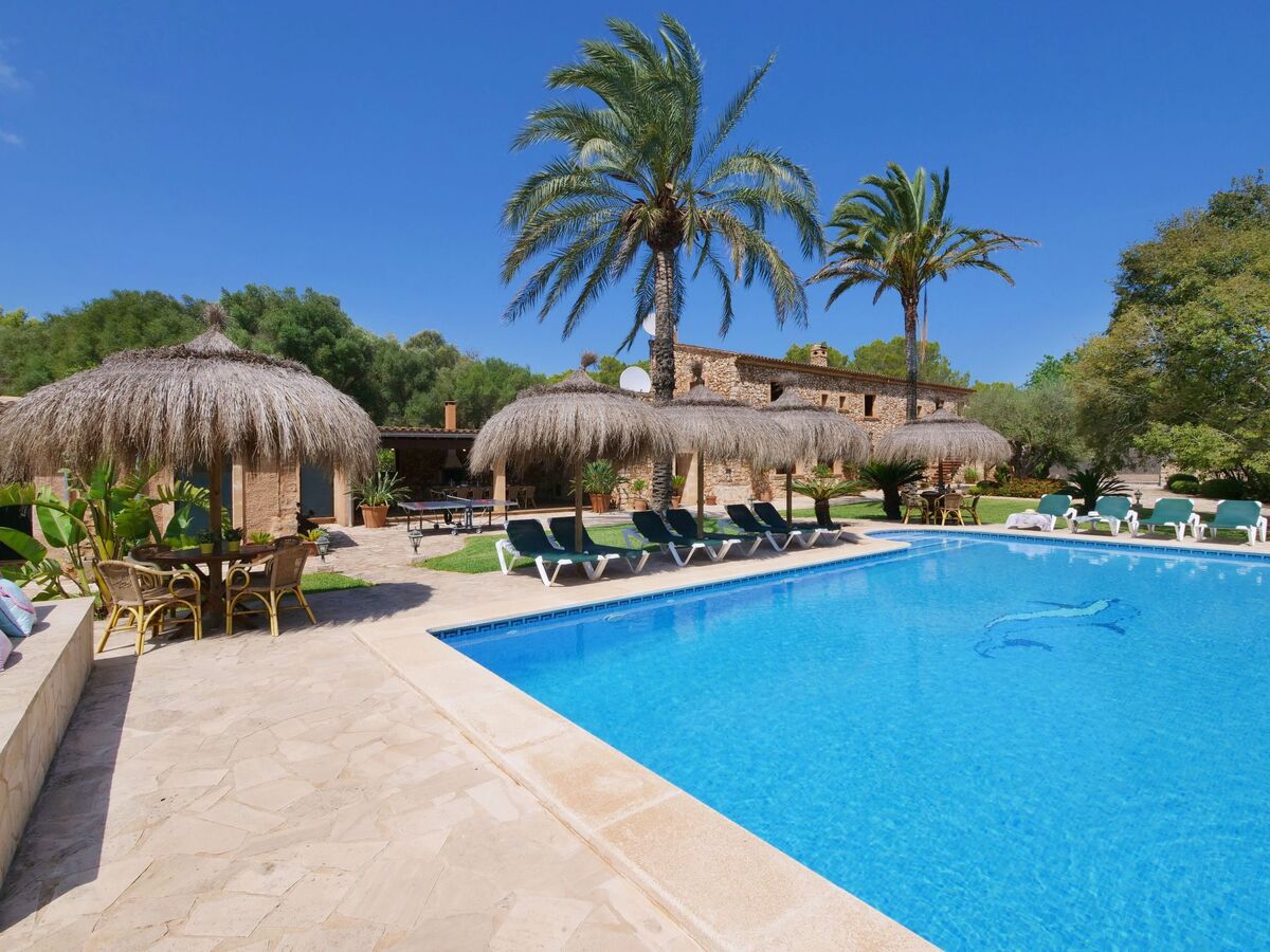 Finca Tort – Maison 12 pers., piscine et chevaux - Photo 25