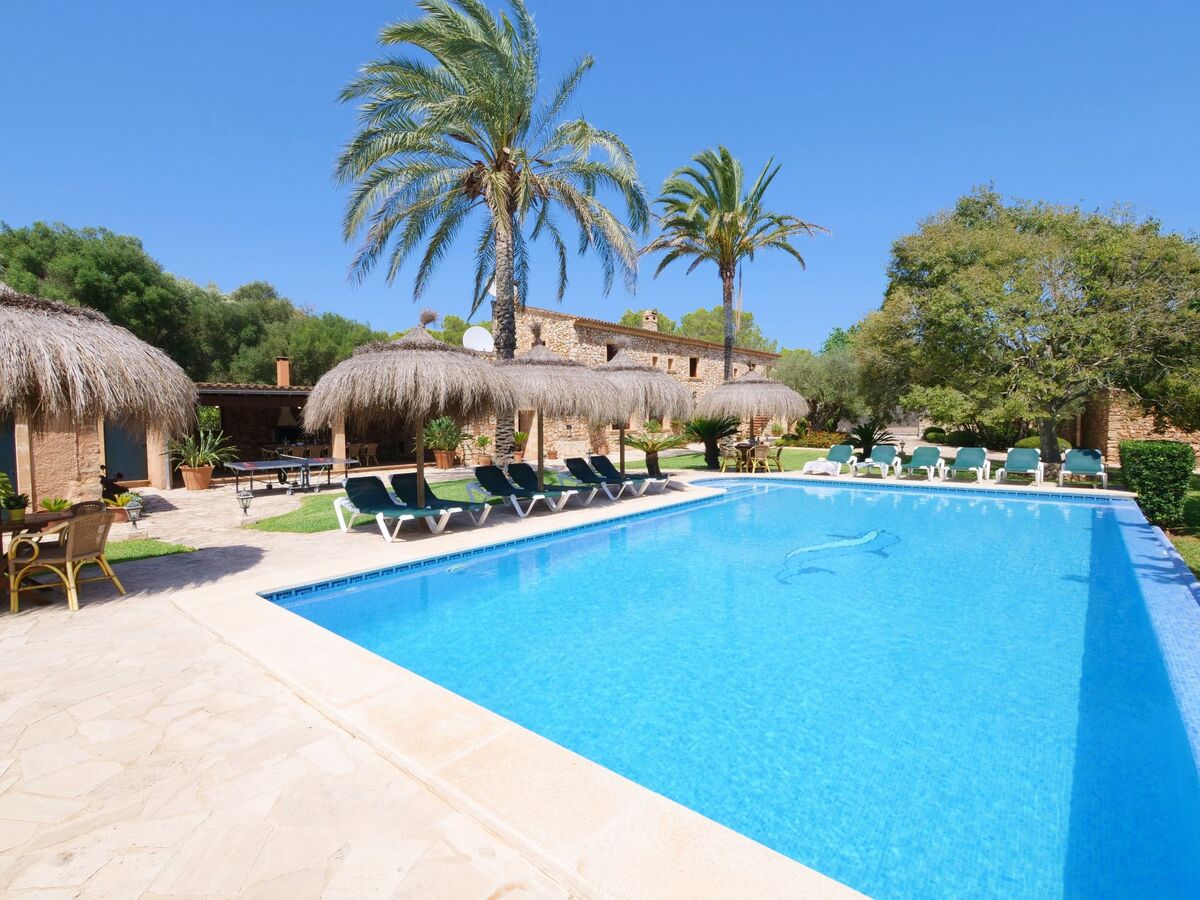Finca Tort – Maison 12 pers., piscine et chevaux - Photo 26