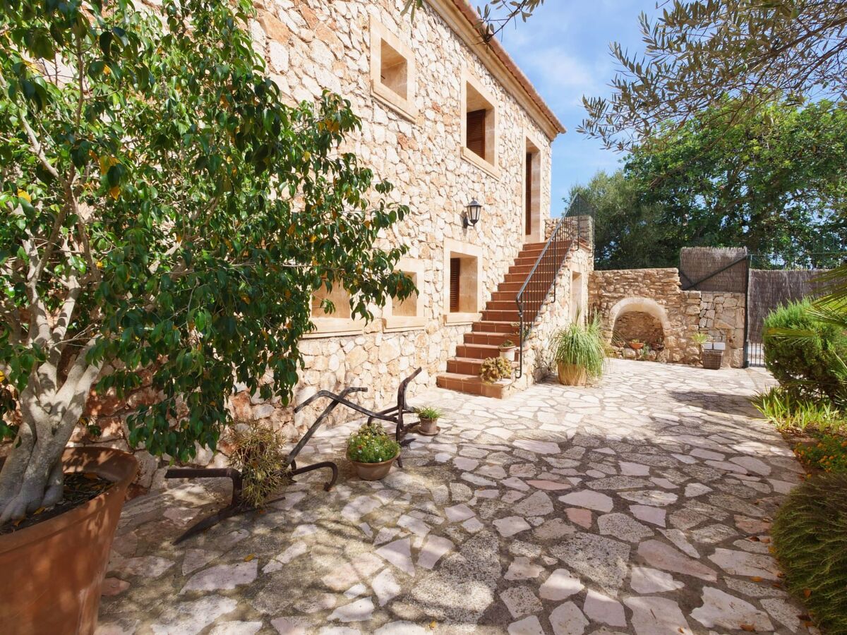 Finca Tort – Maison 12 pers., piscine et chevaux - Photo 28