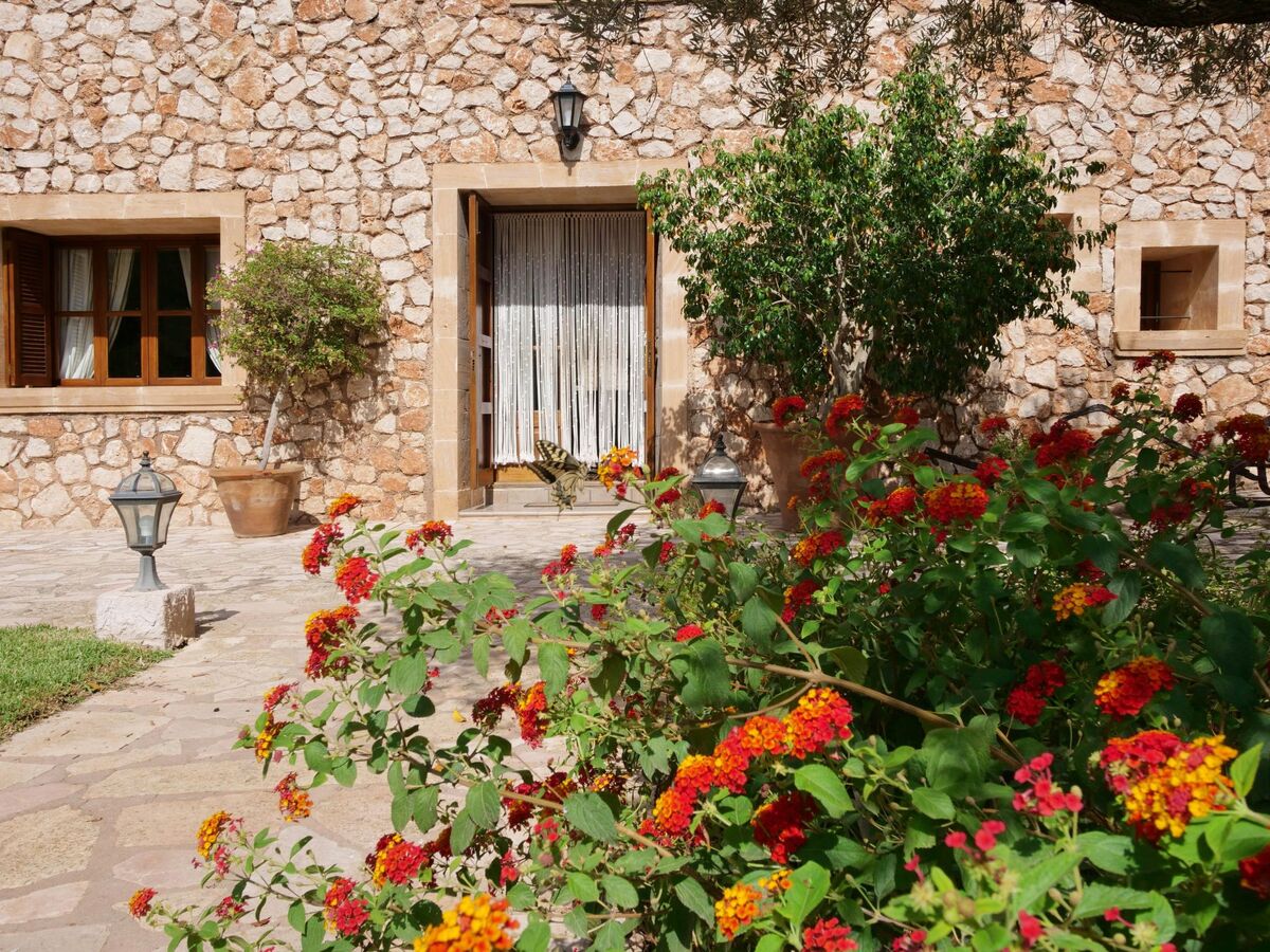 Finca Tort – Maison 12 pers., piscine et chevaux - Photo 29