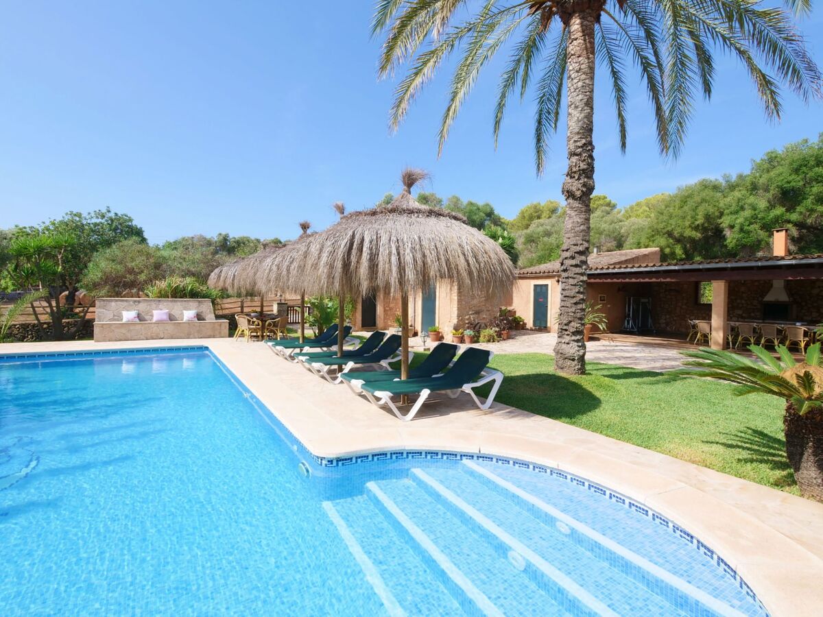 Finca Tort – Maison 12 pers., piscine et chevaux - Photo 30