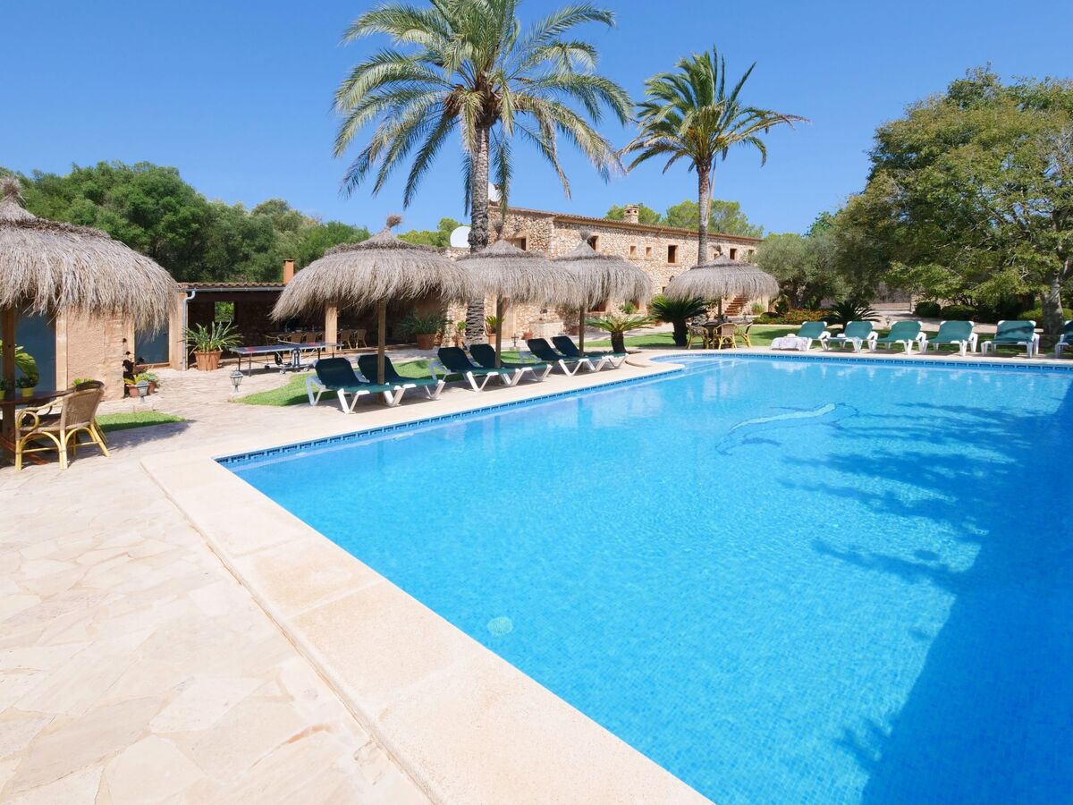 Finca Tort – Maison 12 pers., piscine et chevaux - Photo 32