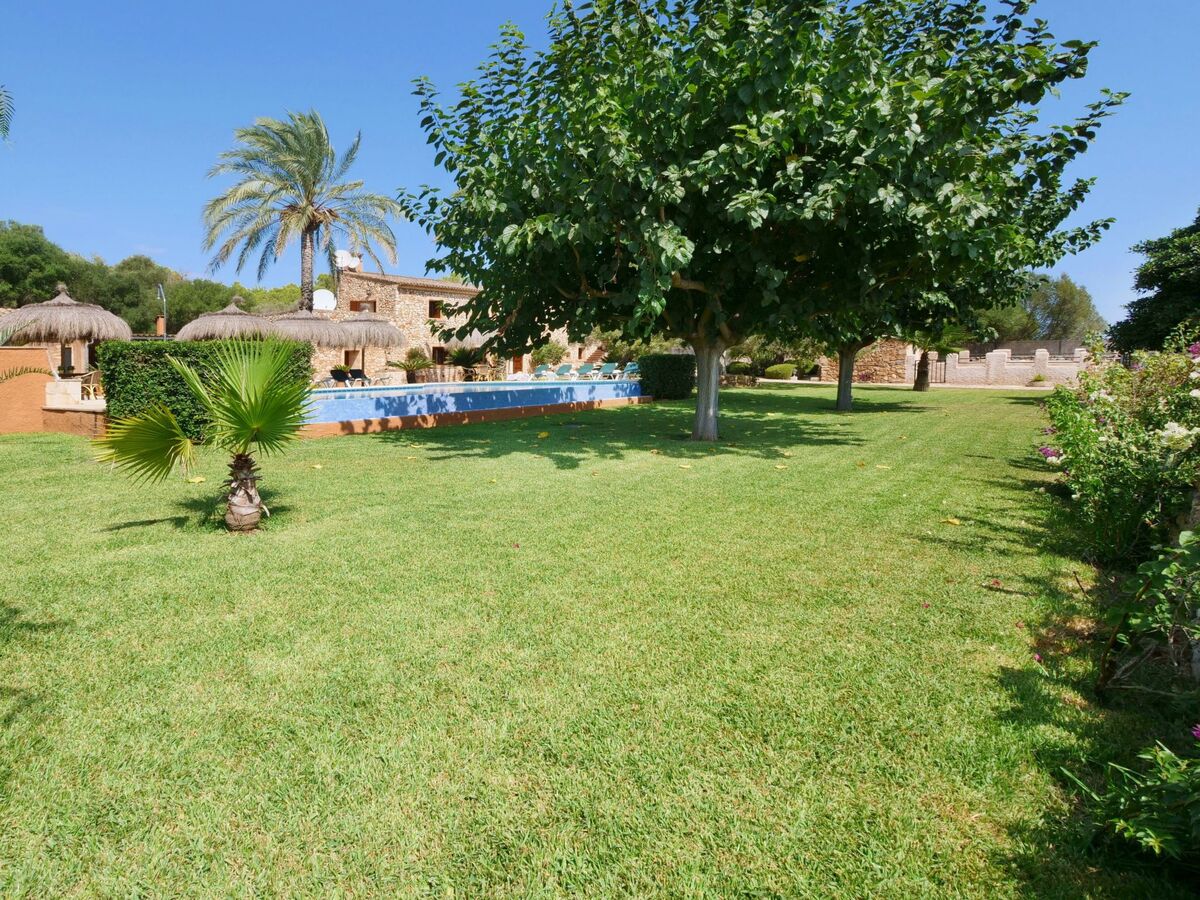 Finca Tort – Maison 12 pers., piscine et chevaux - Photo 33
