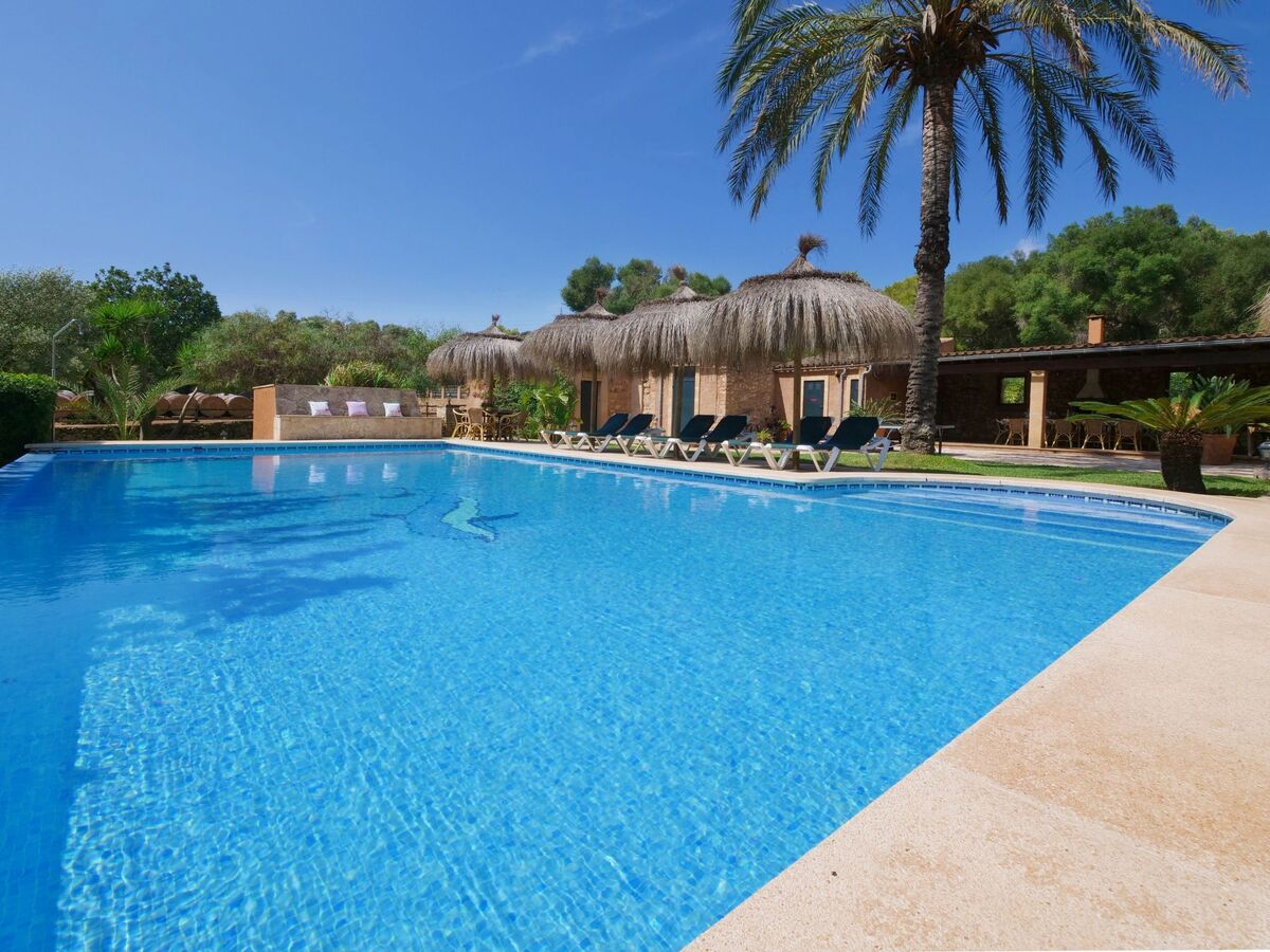 Finca Tort – Maison 12 pers., piscine et chevaux - Photo 38