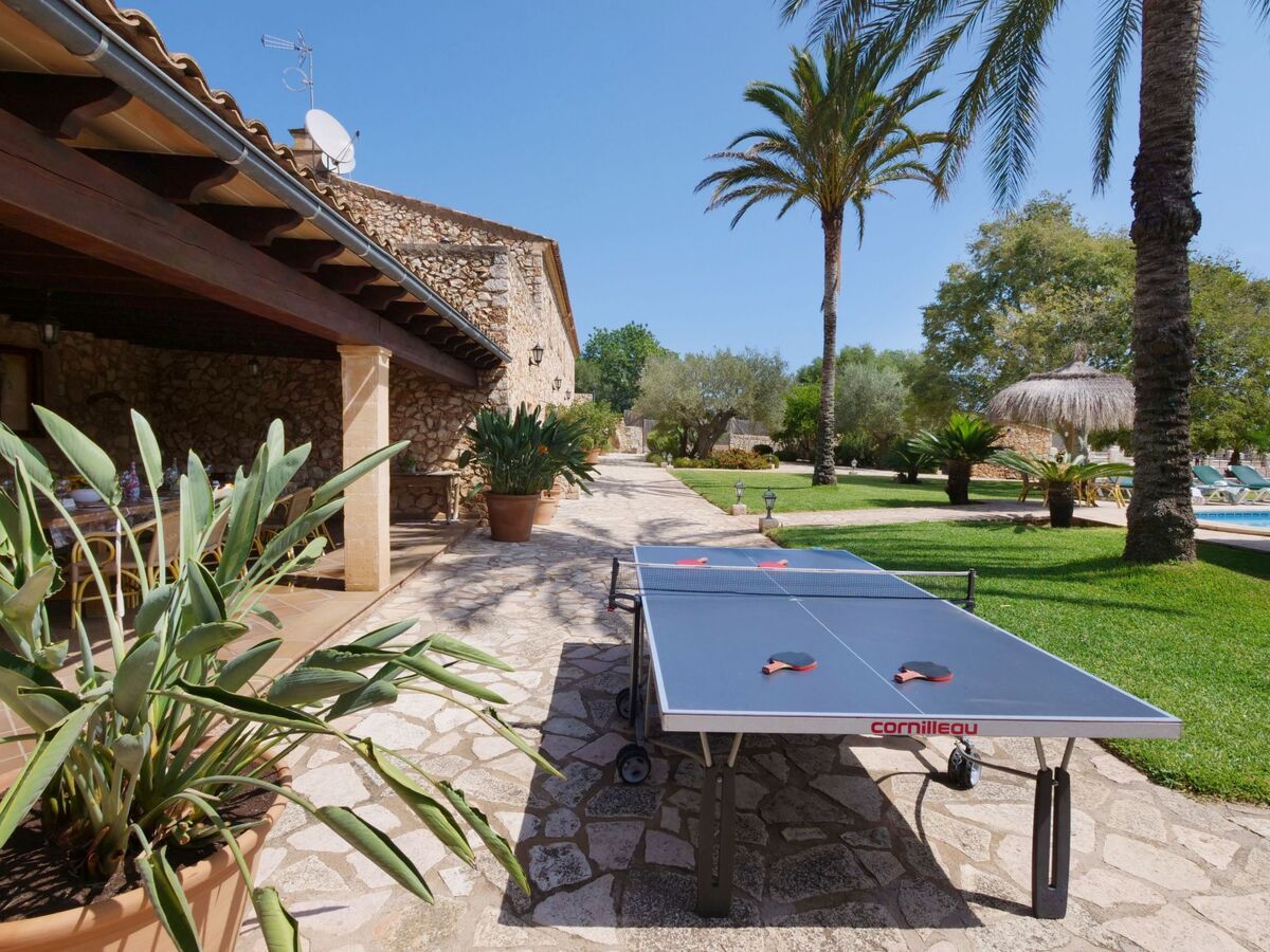 Finca Tort – Maison 12 pers., piscine et chevaux - Photo 41