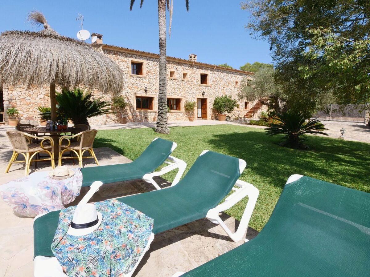 Finca Tort – Maison 12 pers., piscine et chevaux - Photo 42