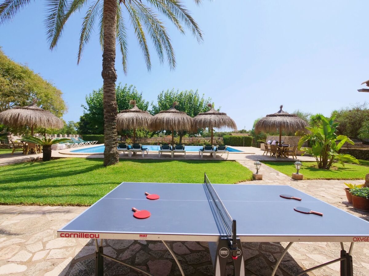 Finca Tort – Maison 12 pers., piscine et chevaux - Photo 44