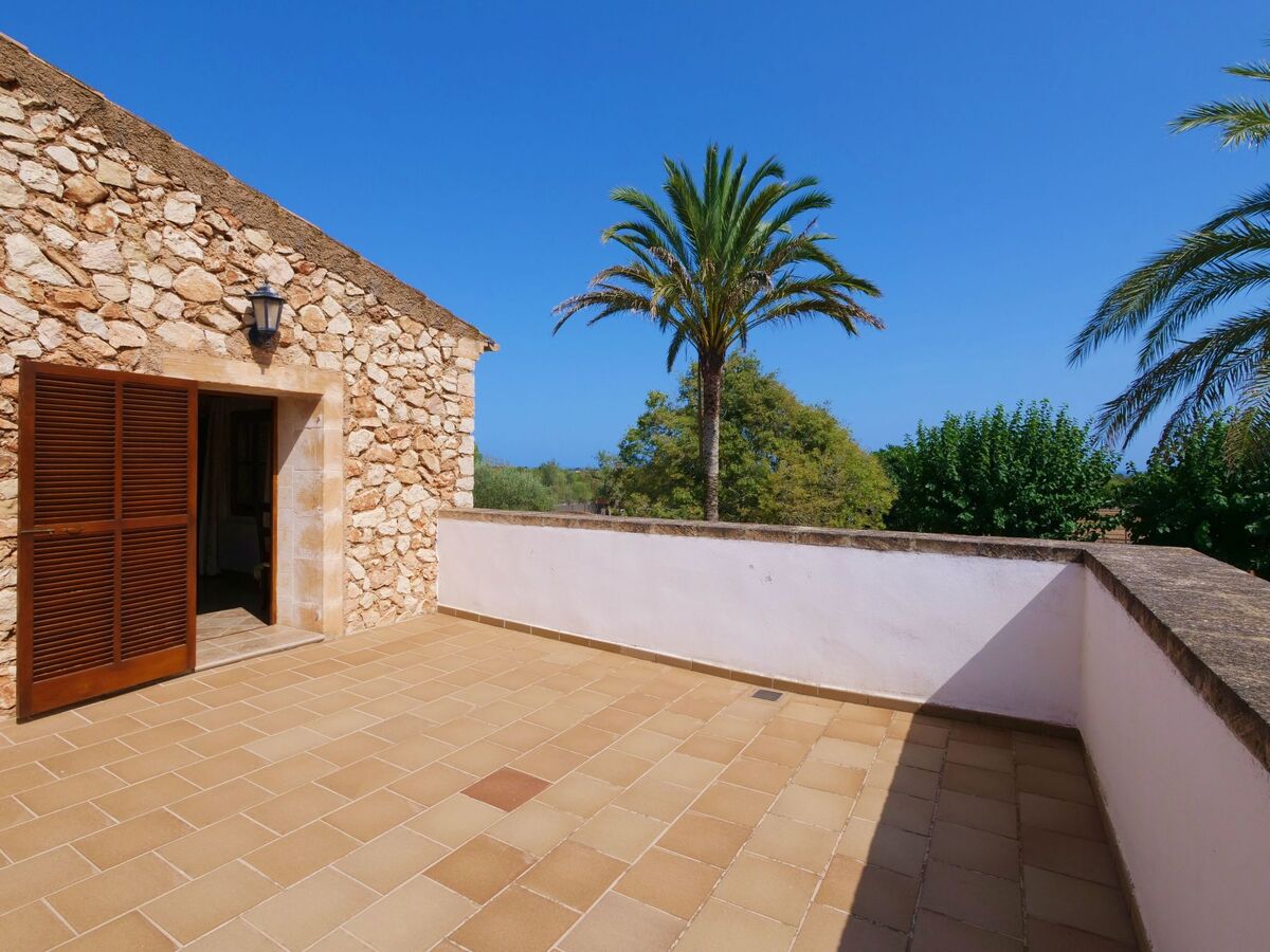 Finca Tort – Maison 12 pers., piscine et chevaux - Photo 60