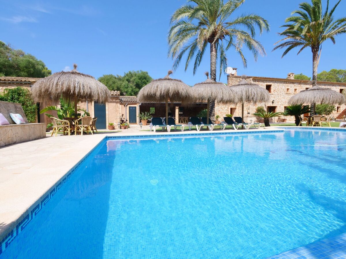 Finca Tort – Maison 12 pers., piscine et chevaux - Photo 73