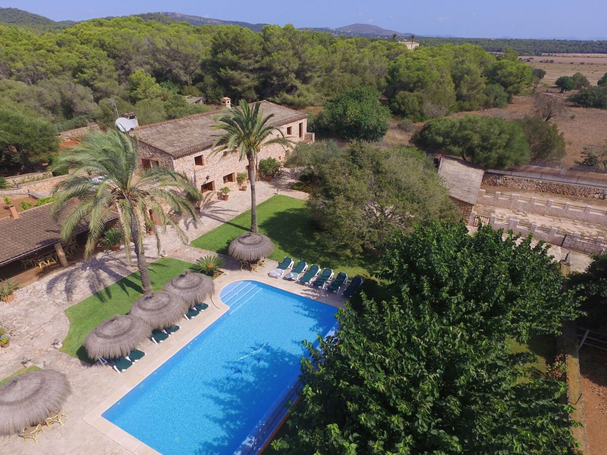 Finca Tort – Maison 12 pers., piscine et chevaux - Photo 74