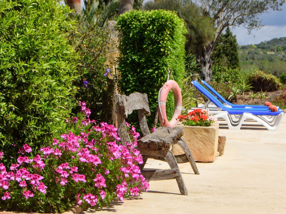 Teuler Petit, maison de caractère 8 pers. à Mallorca - Photo 39